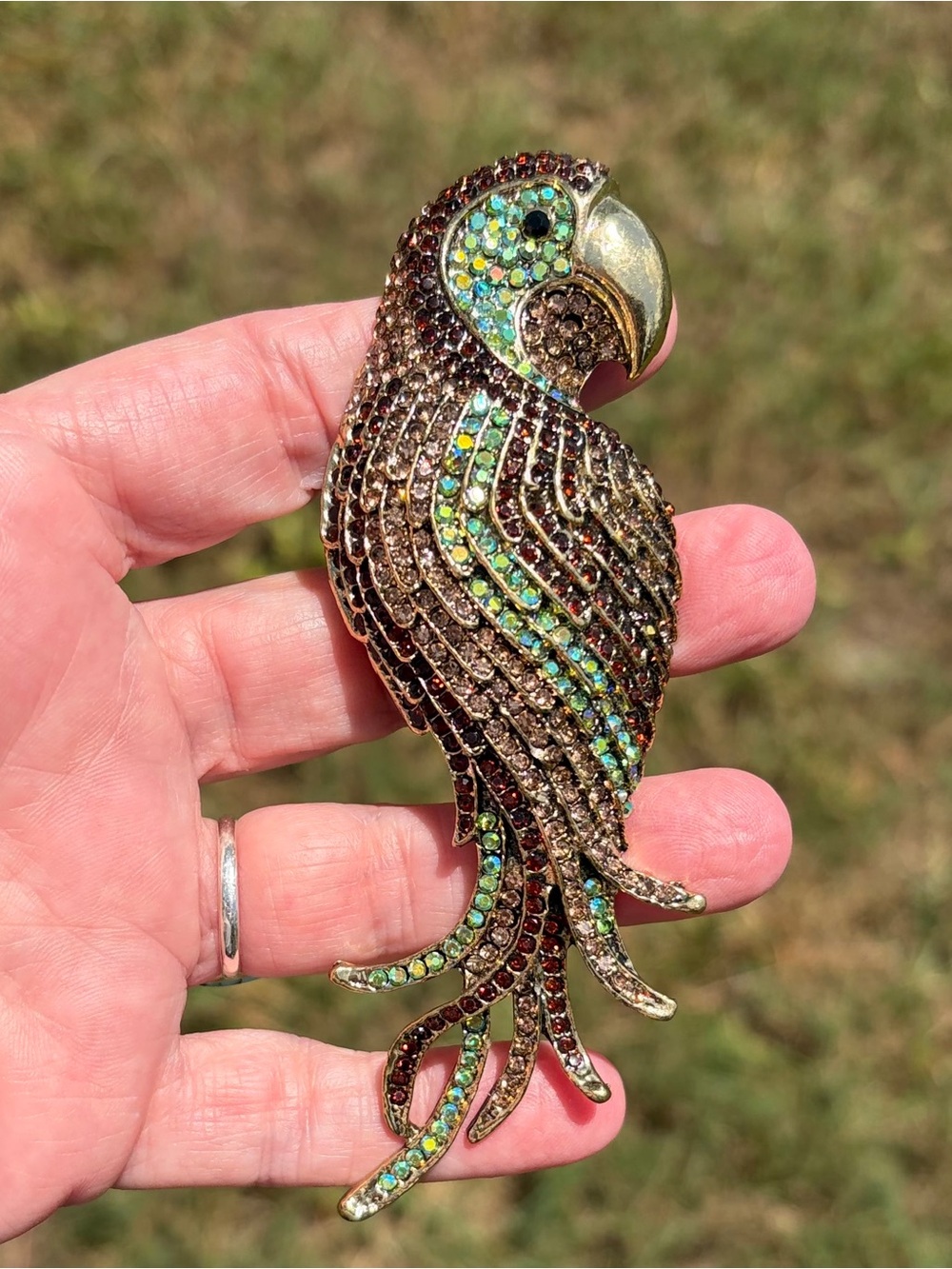 Large Jeweled Parrot Statement Brooch